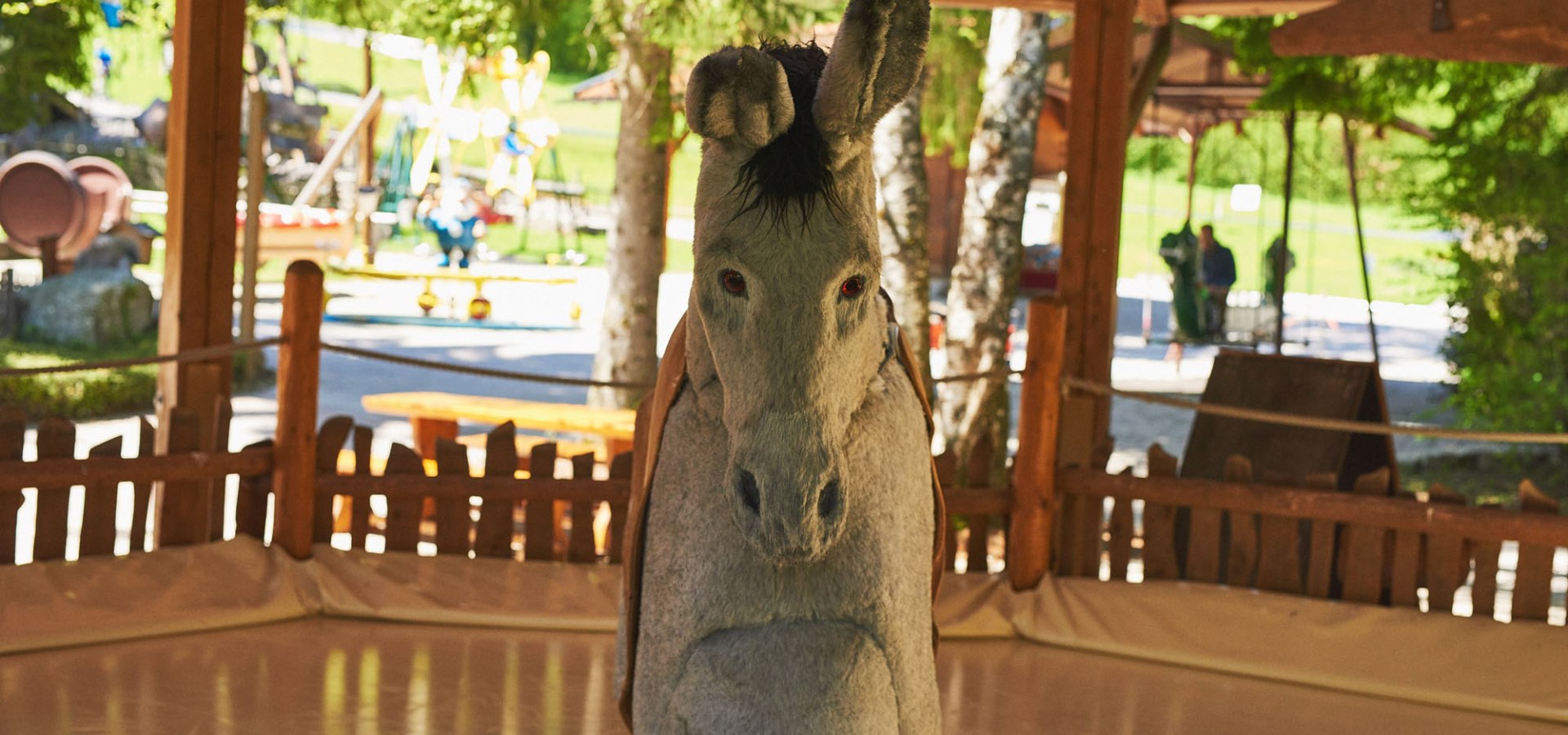 If he is very stubborn, our donkey likes to throw you off